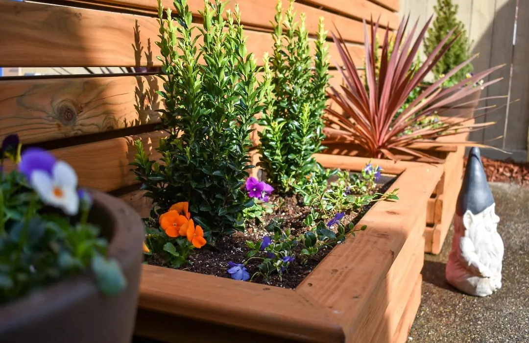 Modern Seattle Oasis-1