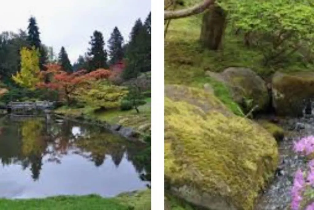 Arboretum Little Oasis-1