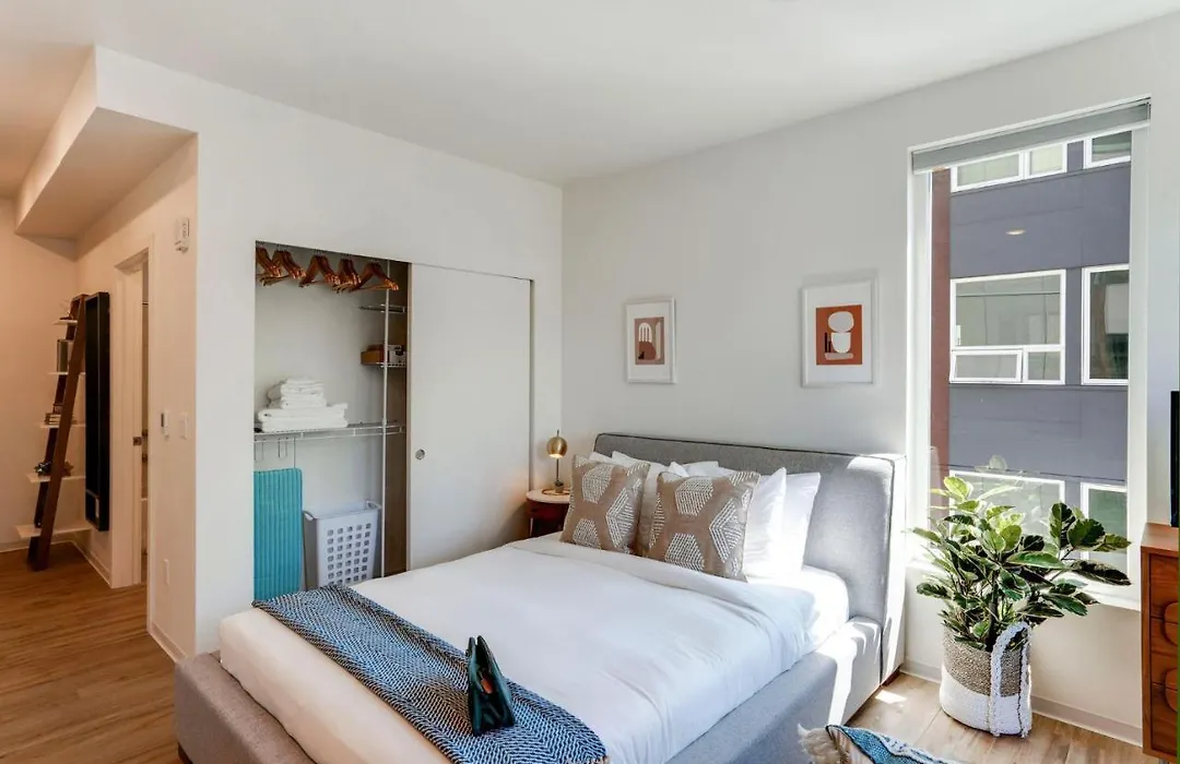 Pet-Friendly Seattle Studio With Rooftop Deck-1