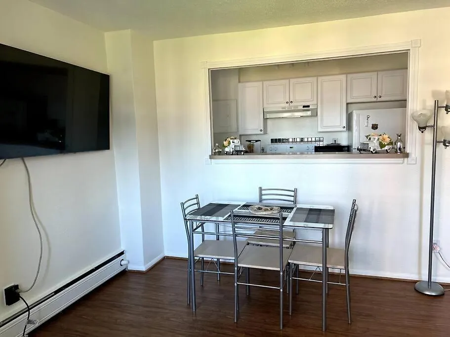 Downtown 1 Bedroom 1 Bathroom Condo-1
