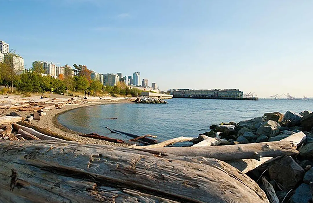 Belltown Waterfront Suites By Barsala-1