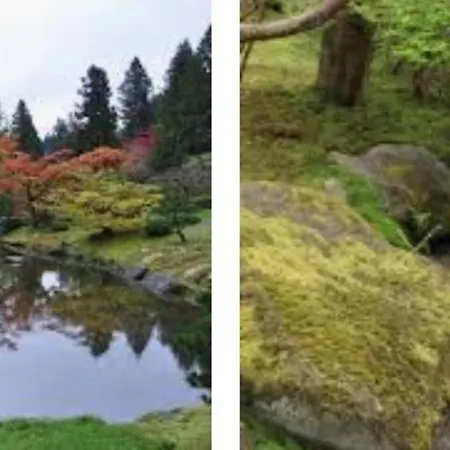 Arboretum Escape- B-2