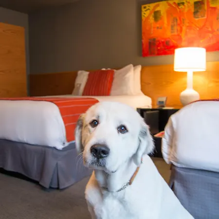 Hotel Max-2