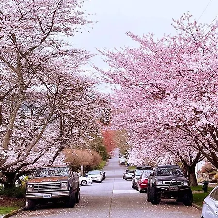 Woodland Park'S Charming Retreat-2