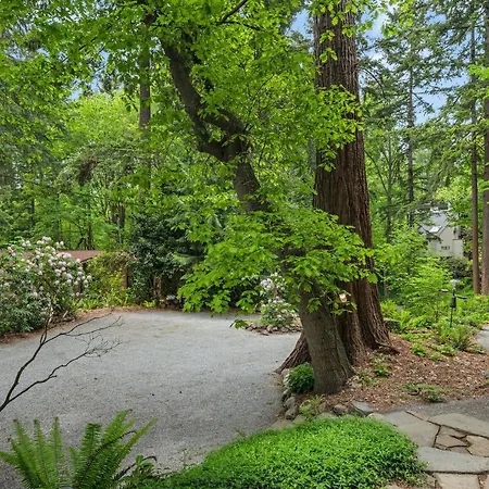 4Br With Firepit, Outdoor Dining And Yard Surrounded By Trees-3