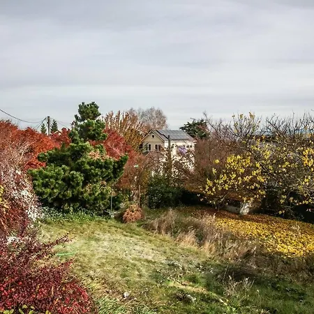 Arboretum View- Magnolia-3