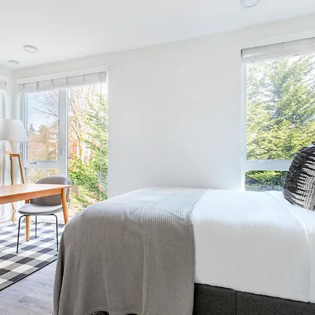 Capitol Hill Studio W Rooftop Pet Area Nr Bars Sea-100-2