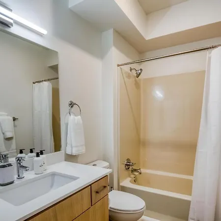 Pet-Friendly Studio With Roof Lounge-2