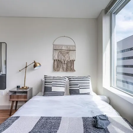 Fantastic Studio In Seattle Gym Pet-Friendly Appartamento-2