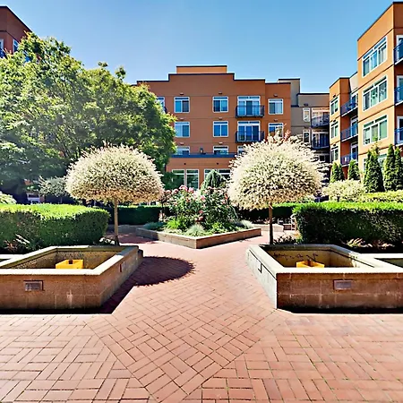 Belltown Court II-3