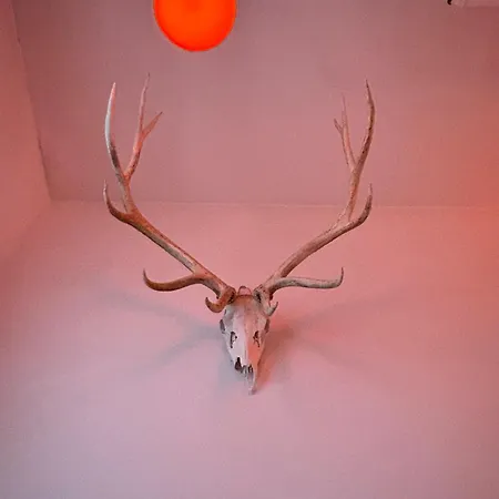 Ace Hotel Seattle-2