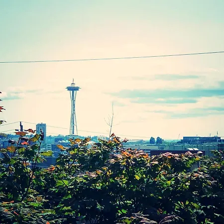Seattle Urban Village- Rainier-2
