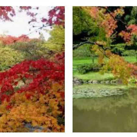 Arboretum Escape-2