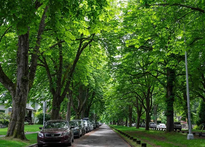 Villa U-District Warmth 8 Mins Walk To Uw Seattle